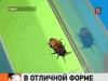 В Омске провели первый чемпионат по тараканьи бегам