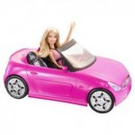 Водителя лишили прав за езду на авто куклы Барби