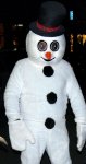 Мужчина в костюме снеговика напал на полицию