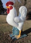 В Канаде украли огромную курицу