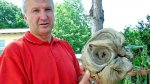 В Хорватии на кладбище найдена голова пришельца