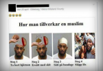 Жительница Швеции может угодить в тюрьму за оскорбительную картинку